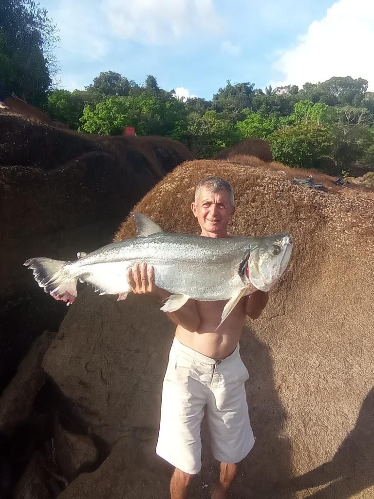 RIOS PAXIUBA, ARIPUAN�, RIO BIUI�U