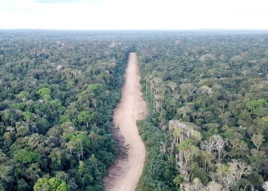 RIOS PAXIUBA, ARIPUAN�, RIO BIUI�U