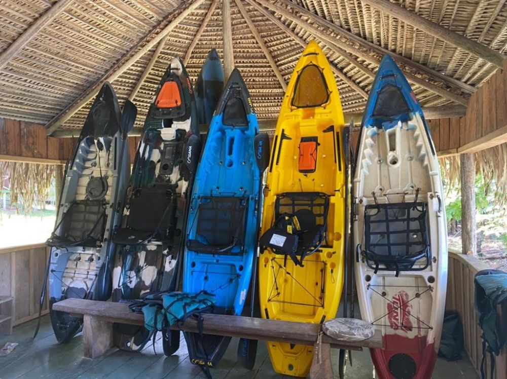 RIOS PAXIUBA, ARIPUAN�, RIO BIUI�U