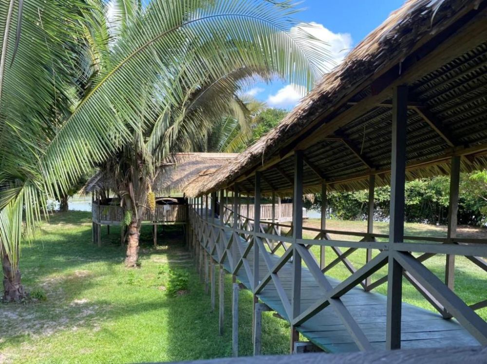 RIOS PAXIUBA, ARIPUAN�, RIO BIUI�U