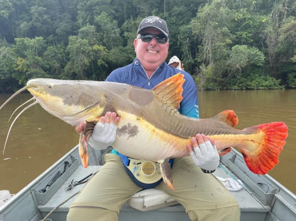 RIOS PAXIUBA, ARIPUAN�, RIO BIUI�U