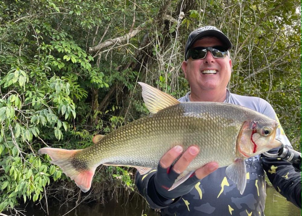 RIOS PAXIUBA, ARIPUAN�, RIO BIUI�U