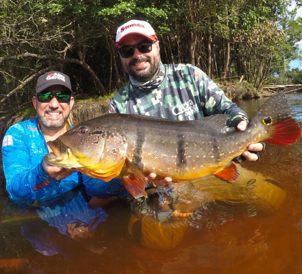 AMAZONAS - PESCARIA DE TUCUNAR AU