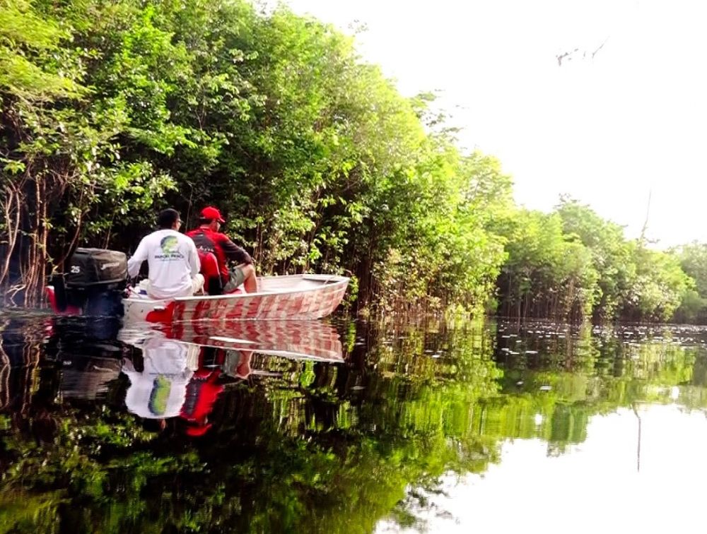 AMAZONAS - PESCARIA DE TUCUNAR AU