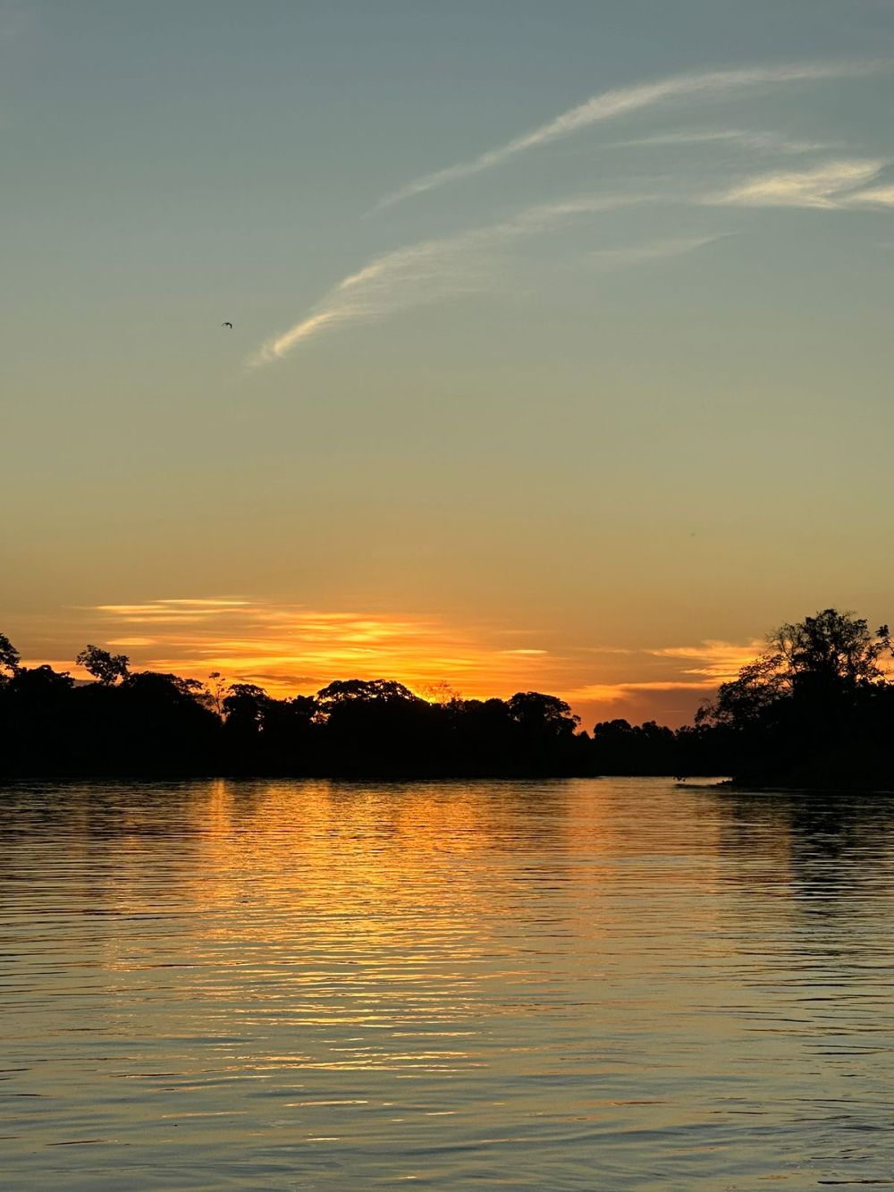 RIO CUIABA,  CORAO DO PANTANAL NORTE, MAIOR BACIA DO PANTANAL